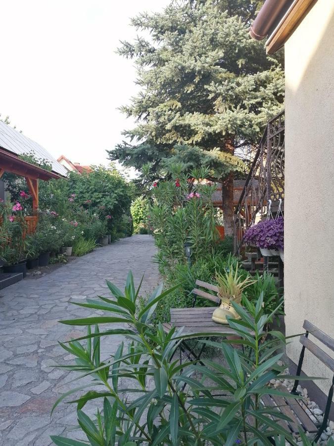 Bed and Breakfast Szentesi Panzio Фертивракош Екстер'єр фото