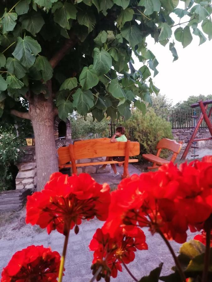 Bed and Breakfast Szentesi Panzio Фертивракош Екстер'єр фото