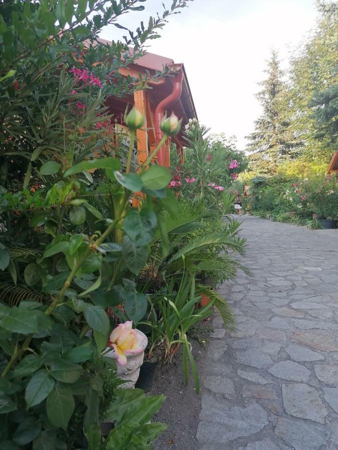 Bed and Breakfast Szentesi Panzio Фертивракош Екстер'єр фото