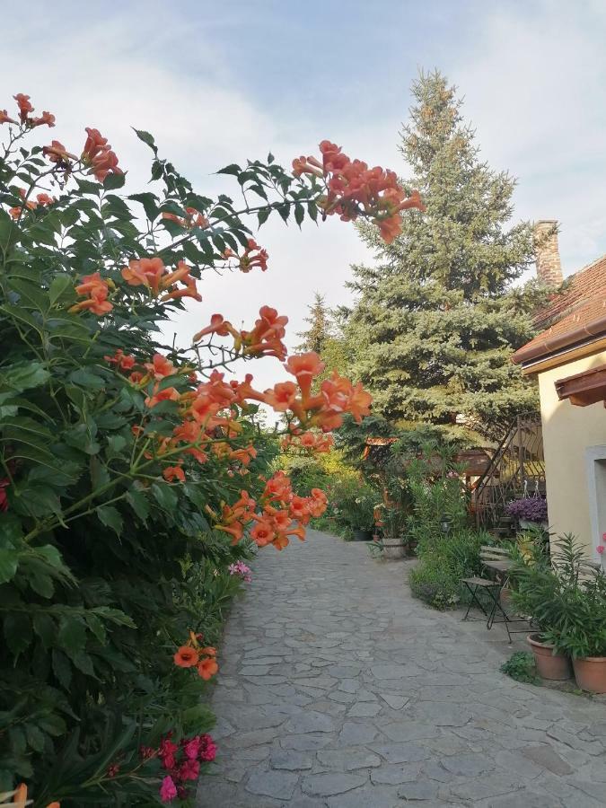 Bed and Breakfast Szentesi Panzio Фертивракош Екстер'єр фото