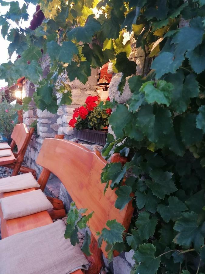 Bed and Breakfast Szentesi Panzio Фертивракош Екстер'єр фото