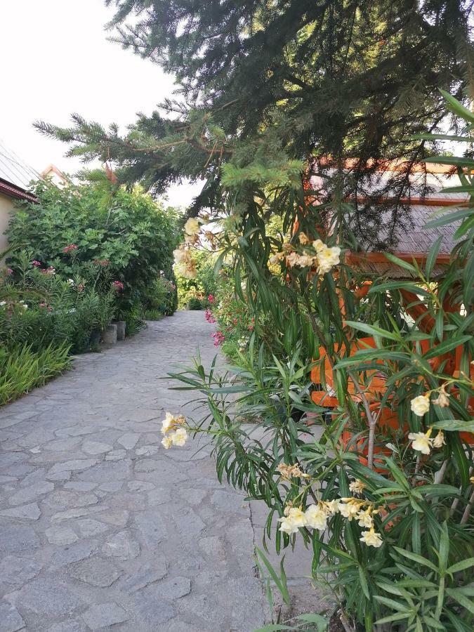 Bed and Breakfast Szentesi Panzio Фертивракош Екстер'єр фото